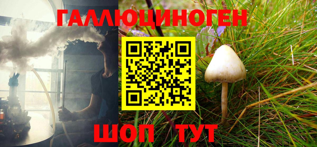 Галлюциногенные грибы MAGIC MUSHROOMS  Галлюциногенные грибы MAGIC MUSHROOMS  Вход с VPN  Каменск-Шахтинский 