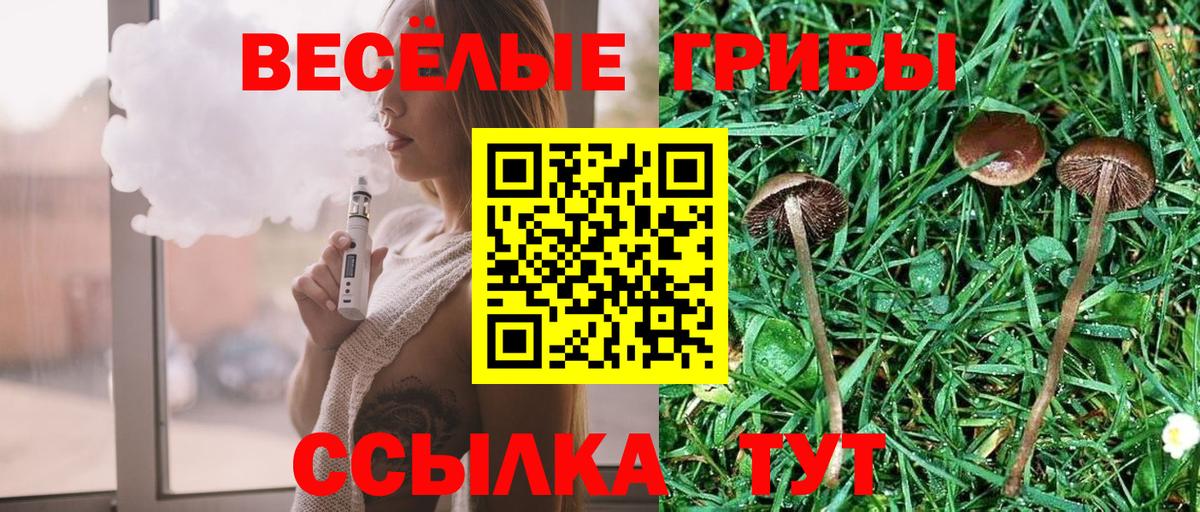 Галлюциногенные грибы ЛСД Каменск-Шахтинский
